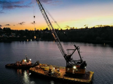 Consistently Providing Import and Export Shipping Agency Services, Why is Zhongmaoda So Dedicated?