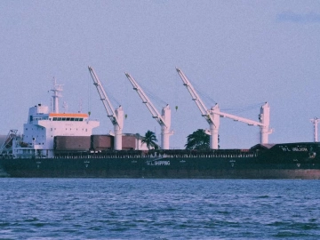 What are the duties of a foreign trade import and export agency?