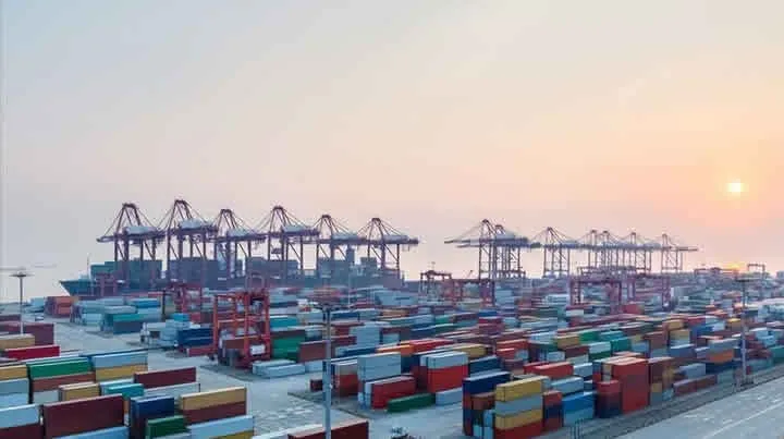 Révélations ! Tout sur les agents d’importation allemands