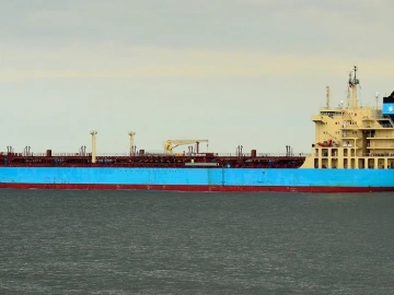 Mandataire pour la demande de licence d’import-export ? Tout ce que vous devez savoir est ici !