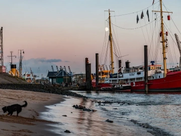 Dédouanement à l’importation par agent ? Connaissez-vous tous les rouages ?