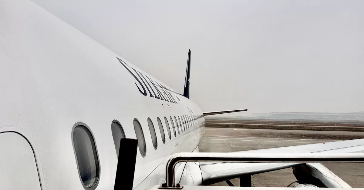 국제 택배를 막는 자는 누구인가?