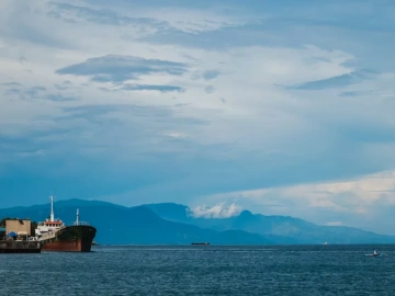 Germany Importer Agent? Do You Know The Ins and Outs?