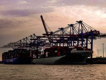 Mandataire pour la demande de licence d’import-export ? Tout ce que vous devez savoir est ici !