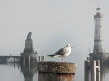Agencia de taquillas de seguridad de Jinhua Export Bank, ¿aún no la aprovechas?