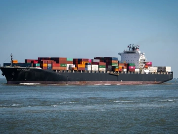 Shanghai Free Trade Zone Import Agent Customs Declaration, Do You Really Understand It?