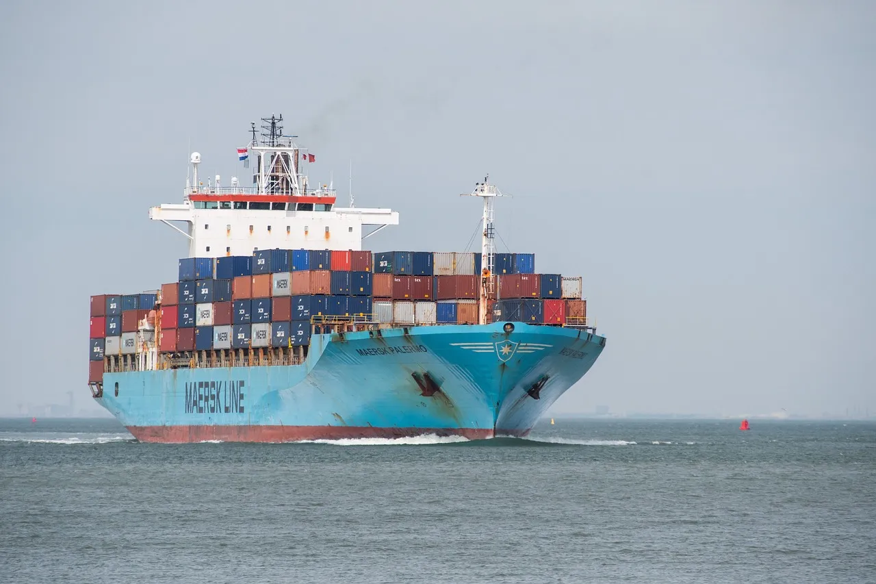 Unveiling the Export Agency Business Process: Are You Familiar with All These Steps?