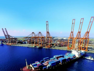 What are the duties of a foreign trade import and export agency?