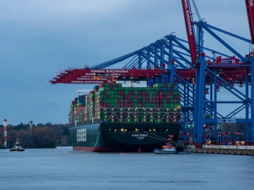 Import von Meeresfrüchten stockt? Möglicherweise sind Sie in diese drei Fallen getappt