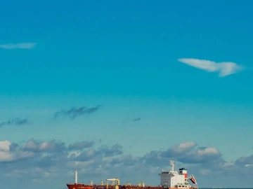 15 months after Brexit, UK food exports to EU fell 19%