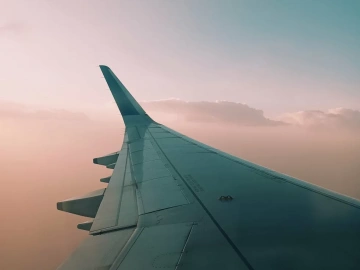 Pourquoi Zhongmaoda, qui propose toujours des services d’agence de transport pour l’import-export, est-il si persévérant ?