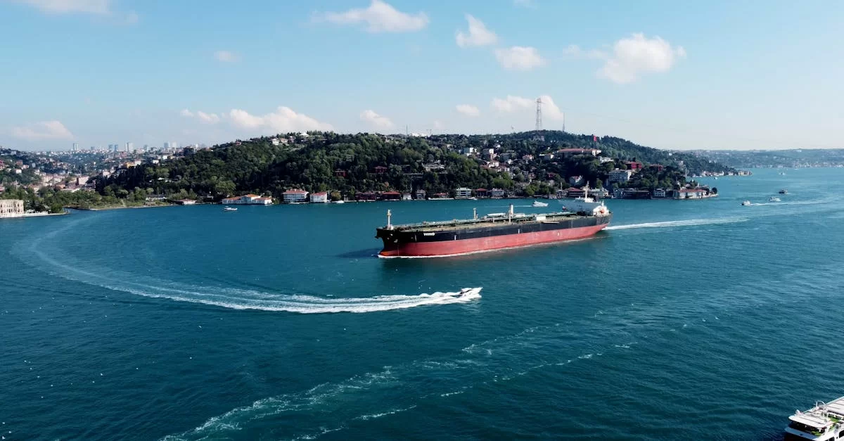 더 이상 헤매지 마세요! 칭다오 수출 대행 통관 절차 빠르게 보기