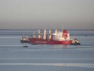 Korean Imported Snacks Agency, Is it Really That "Profitable"?