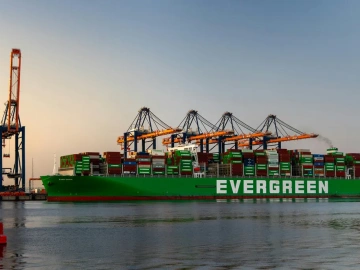 Maschinen-Import durch Agentur? Kennen Sie die Tricks dahinter?