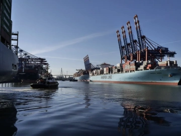 Agent Import Customs Declaration and Clearance? Do you know all the ins and outs!