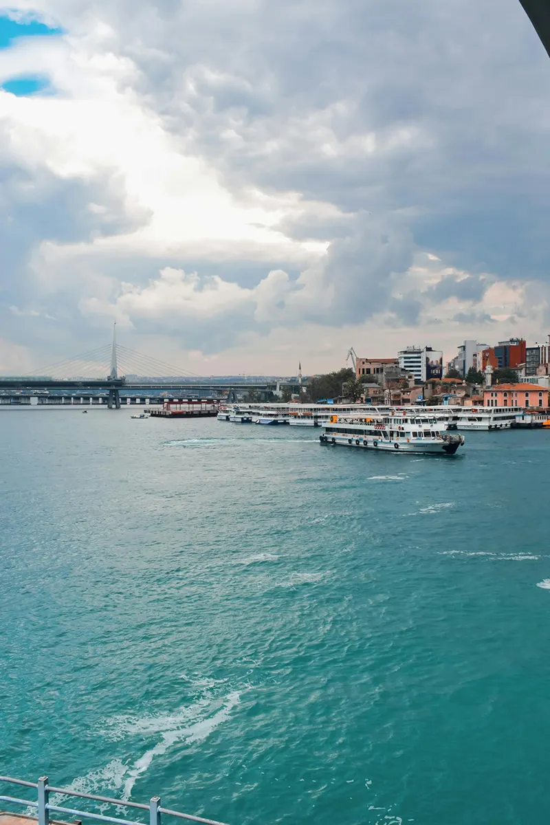 Bajo las nuevas regulaciones aduaneras, ¿cómo pueden los agentes evitar salir perdiendo en silencio?