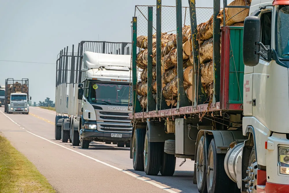 Ningbo Import and Export Business Agency, Helping Businesses Navigate the International Market