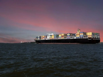 What are the duties of a foreign trade import and export agency?