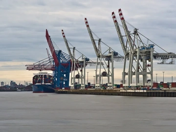 Erstaunlich! Es gibt solche Tricks für den Export von Gelben Mehlwürmern aus Qingdao!