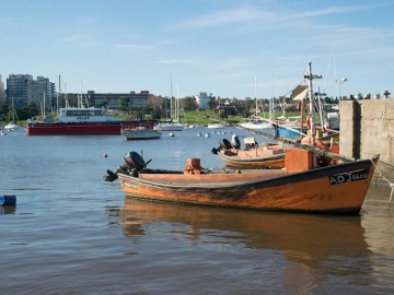 What are the common foreign exchange settlement methods for foreign trade imports?