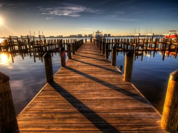 Export Tax Rebate Documentation Unveiled