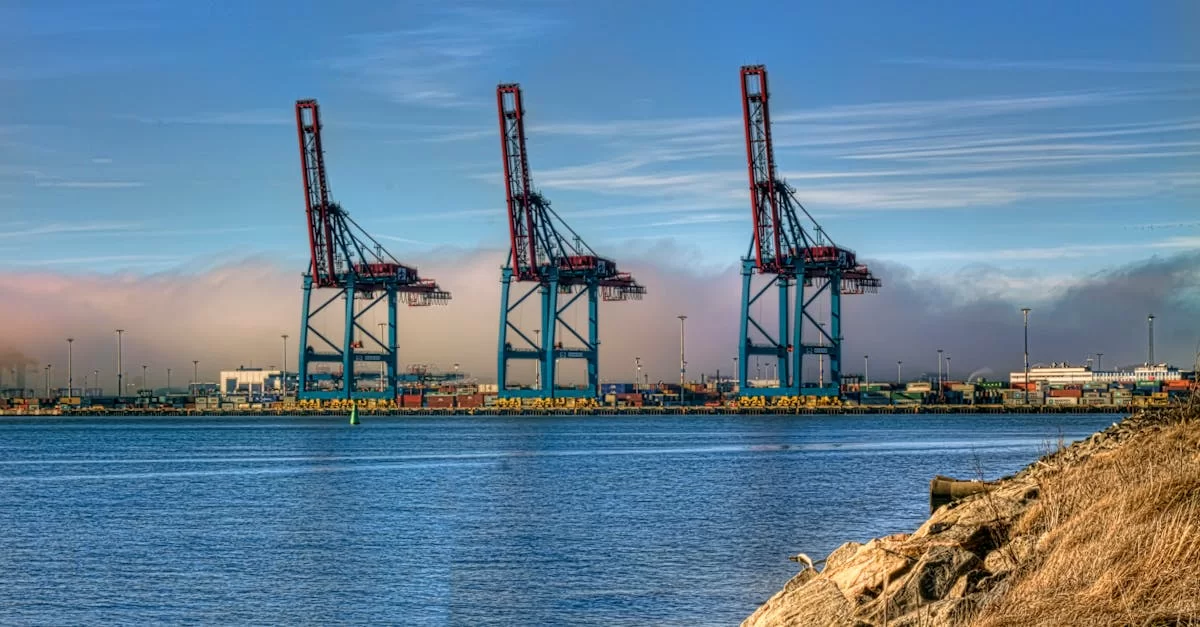 То же самое оливковое масло, почему цены так сильно отличаются?