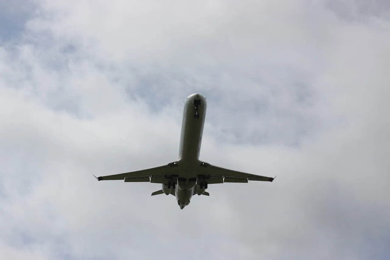 통관 서비스를 과소평가하지 마세요, 정말 중요합니다!