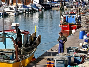 Hören Sie auf, sich selbst zu quälen! Export von Chemieprodukten in Nanning: Ein Agent ist der Königsweg