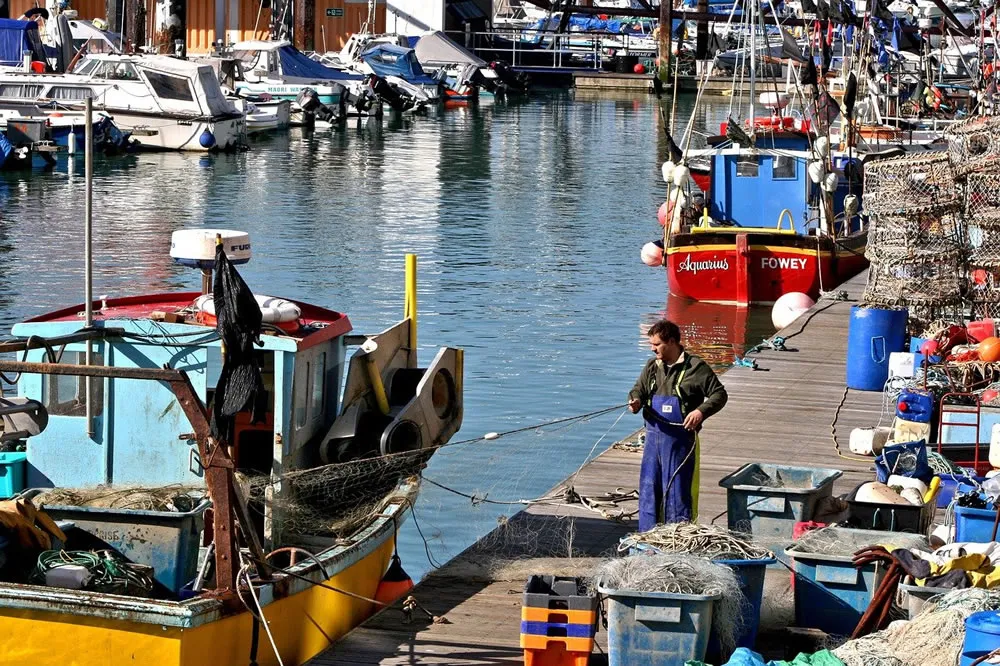 Agences de promotion des importations et exportations alimentaires : construire un pont vers la gastronomie mondiale