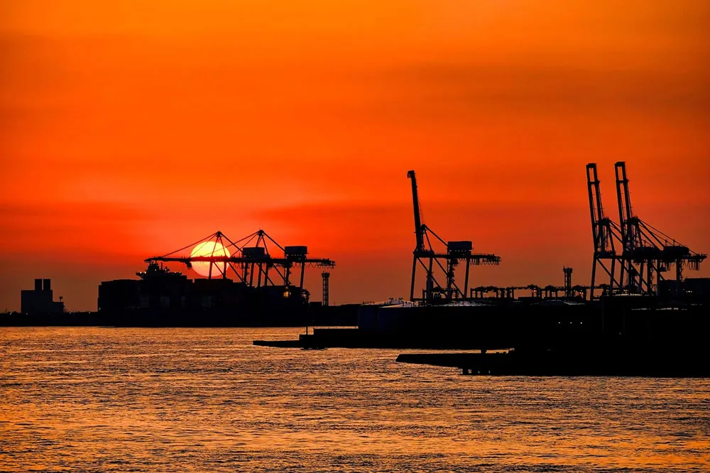 Unveiling Nanning's Garment Import and Export Agency—Zhongmaoda