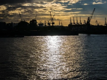 What are the duties of a foreign trade import and export agency?