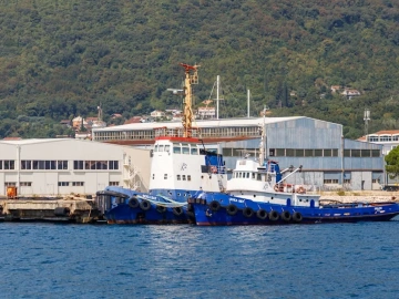 Incroyable ! Il y a tellement de subtilités dans le paiement des impôts par les agents d’import-export