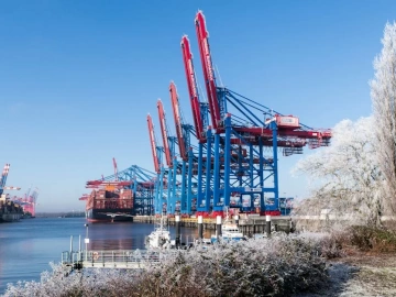 How long does the foreign trade agency tell you to import customs clearance goods?