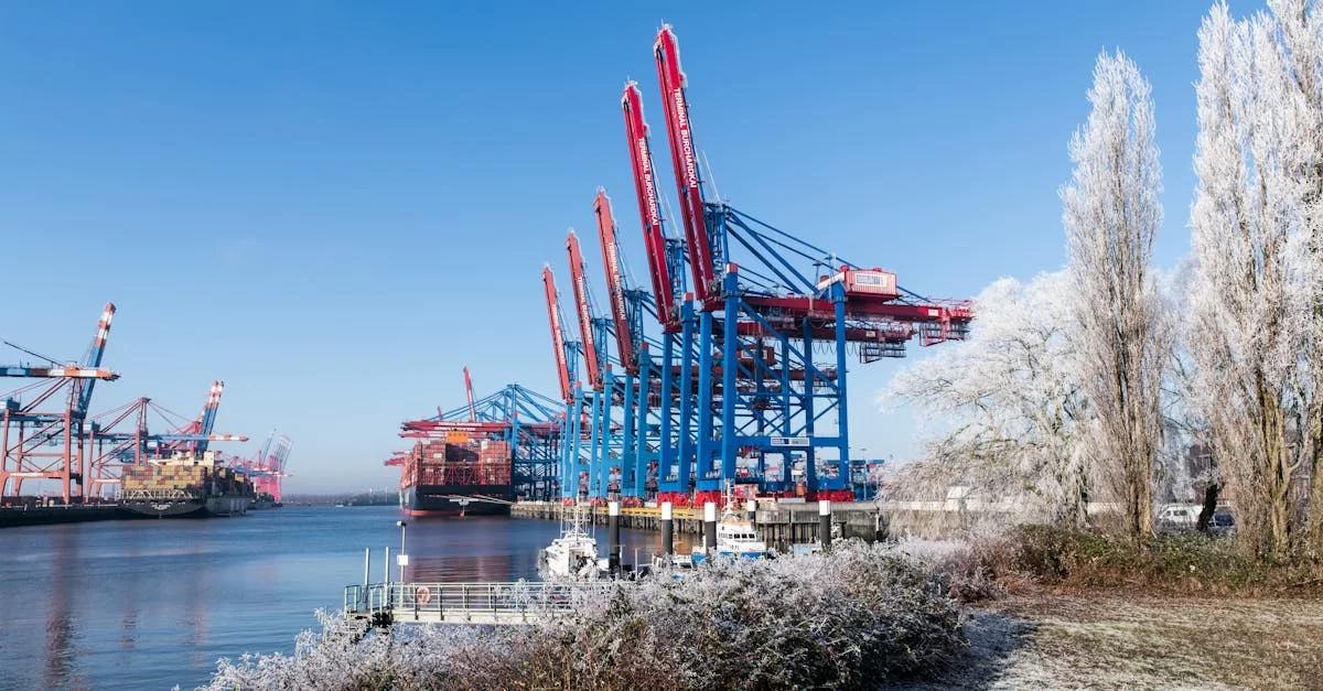 もう瞎選しない！純粋な輸入と代理輸入は大きく違います