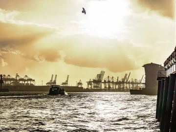 Pourquoi Zhongmaoda, qui propose toujours des services d’agence de transport pour l’import-export, est-il si persévérant ?