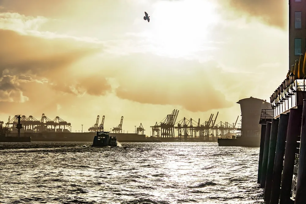 Interesting Facts About Export Customs Declaration Agency Fees