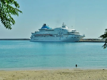 What are the duties of a foreign trade import and export agency?