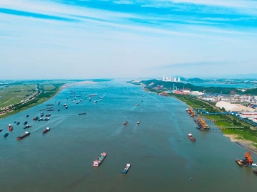 Import von Pigmenten blockiert? Leitfaden eines erfahrenen Zollagenten aus Shanghai zur Vermeidung von Fallstricken