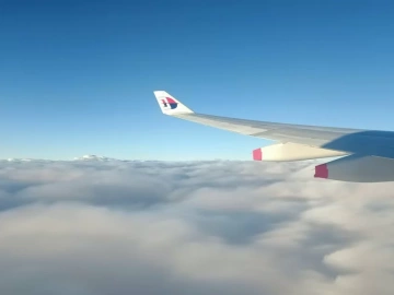 Wie komplex ist der Export von Industrieanlagen?