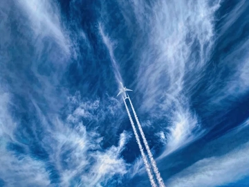 Import Agency Too Deep? Guangzhou Veteran Customs Broker Teaches You How to Avoid Pitfalls