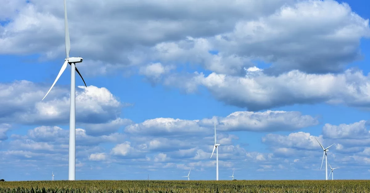 Import-Agentur für Zollabfertigung, Unternehmen können wirklich nicht ohne sie auskommen?