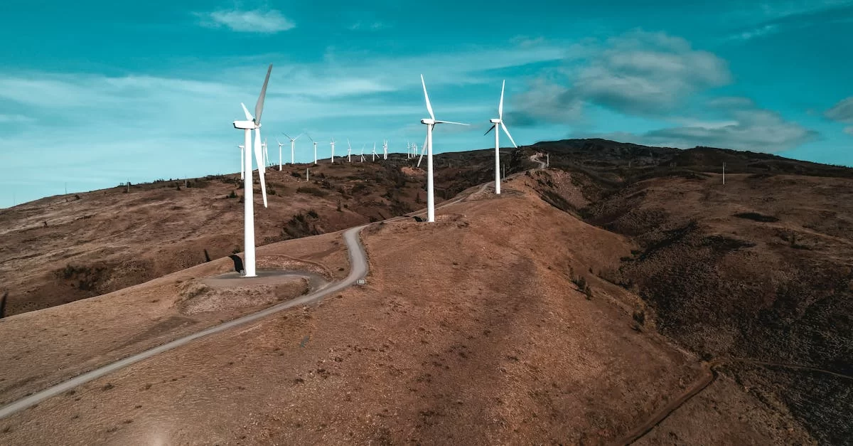 Why is Purchasing a Power of Attorney for Customs Declaration Agency So Important?