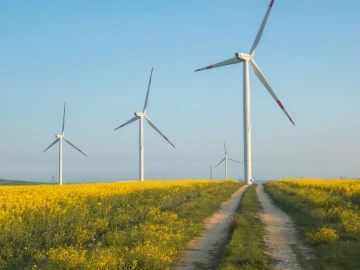 Fuzhou Solar Panel Re-export Trade: Opportunity or Challenge?