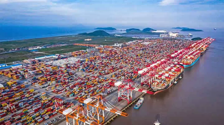 Хватит выбирать вслепую! Этот агент по морским перевозкам, импорту и экспорту в Наньнине — правильный выбор