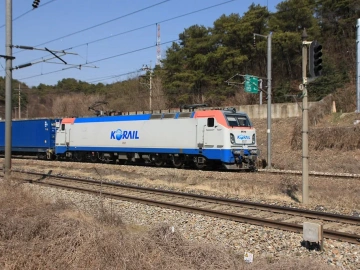 Stupéfiant ! Les sociétés d’agents d’import-export de marchandises recèlent ces secrets