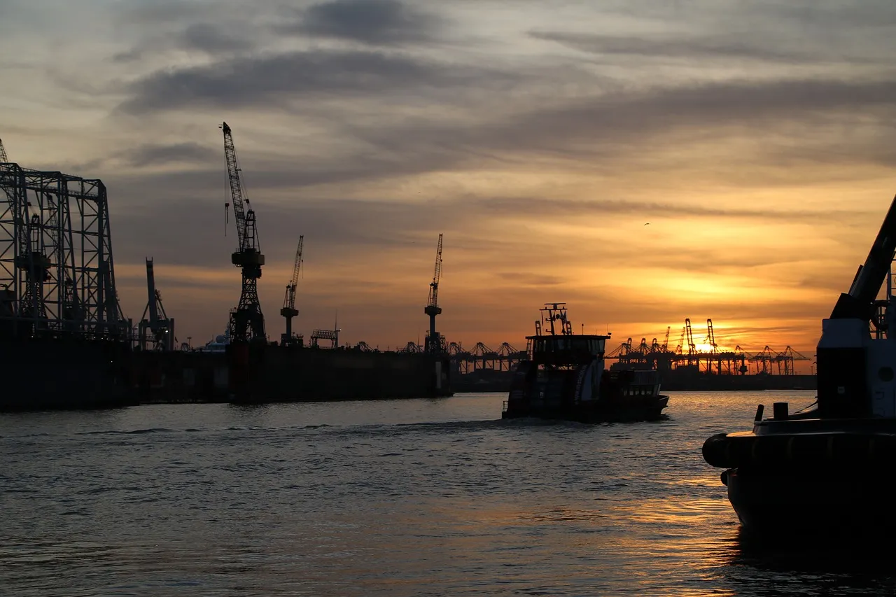 초보 필독: 수출입 권한 없는 회사는 절름발이 거인과 같다