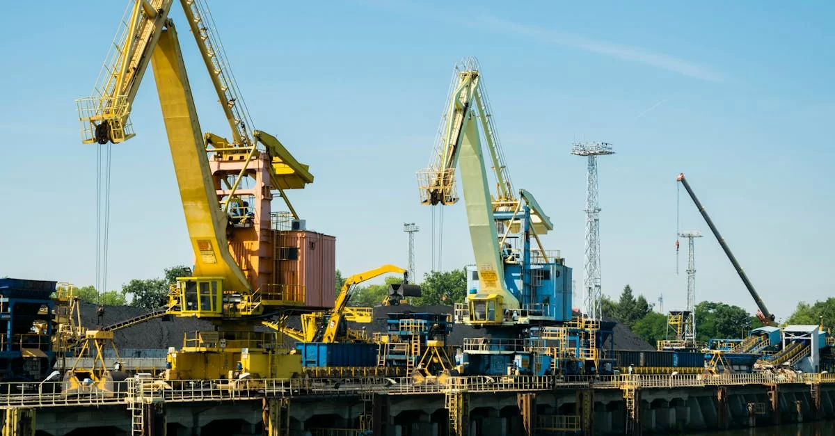 Не упустите! Импорт чилийских красных вин открывает огромные бизнес-возможности