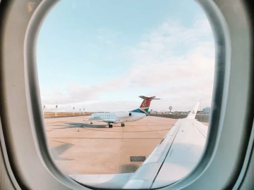 Mandataire pour la demande de licence d’import-export ? Tout ce que vous devez savoir est ici !