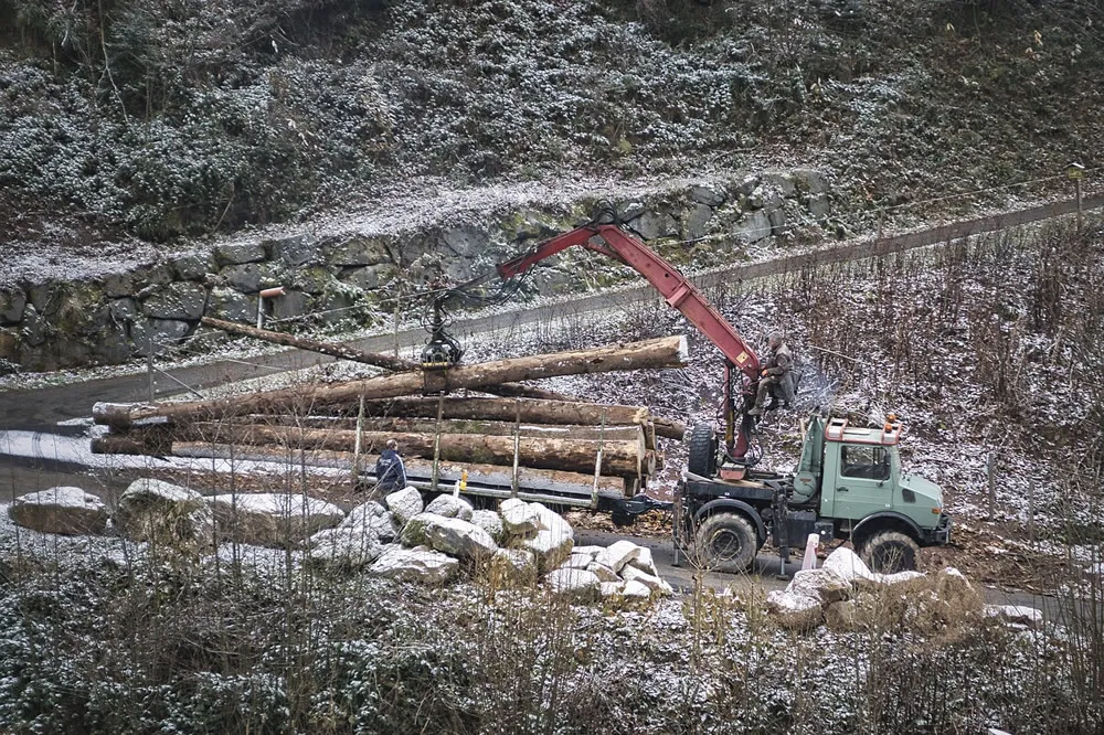 Geheimnisse der Importagentur aufgedeckt