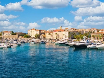 Import and Export License Application Agency? Here's Everything You Need to Know!